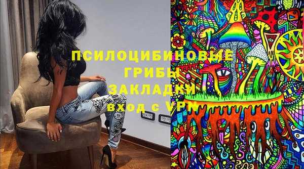 МДПВ Алексин