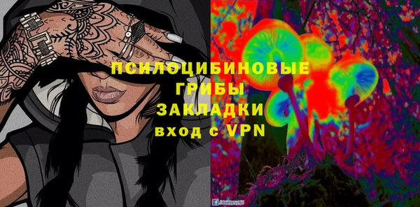 2c-b Алзамай