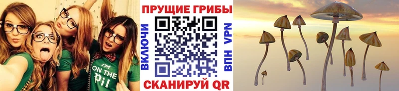 ОМГ ОМГ рабочий сайт  наркотики  Наволоки  Псилоцибиновые грибы Magic Shrooms 